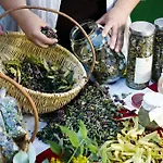 Ξενοδοχείο Rimske Terme - Zdraviliski Dvor 4*