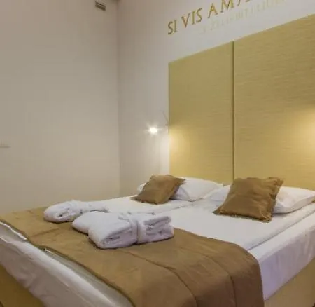 Rimske Terme - Zdraviliski Dvor