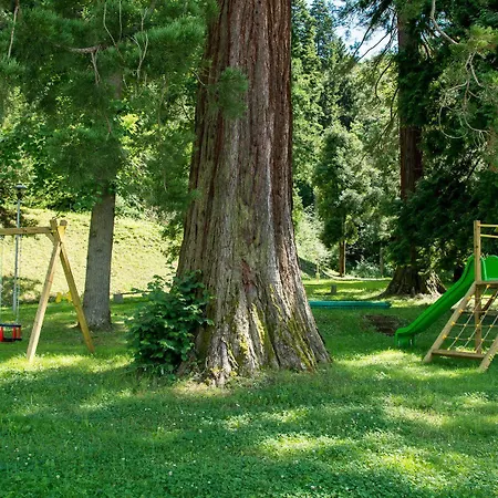 Hotel Rimske Terme - Zdraviliski Dvor 4*