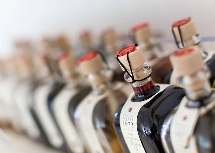 Rimske Terme - Zdraviliski Dvor Hotel Rimske Toplice