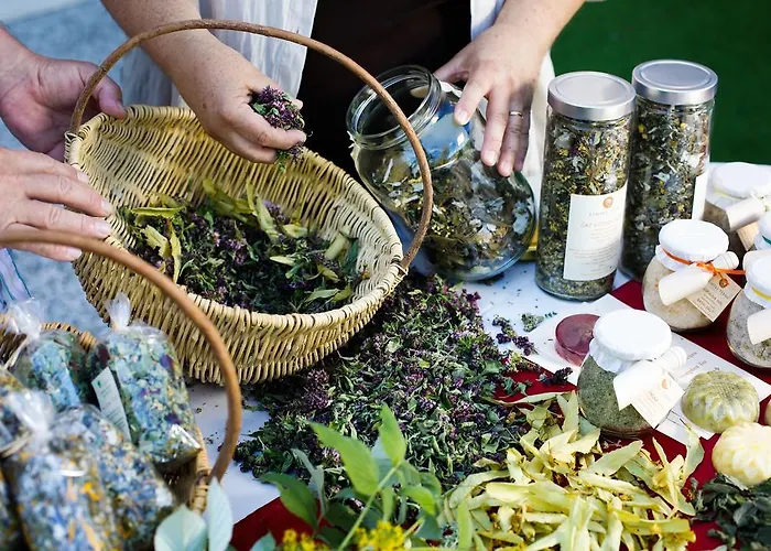 מלון Rimske Terme - Zdraviliski Dvor 4*