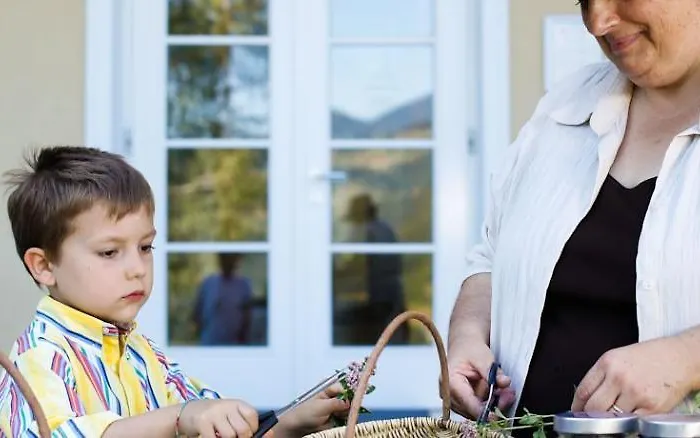 מלון Rimske Terme - Zdraviliski Dvor 4*