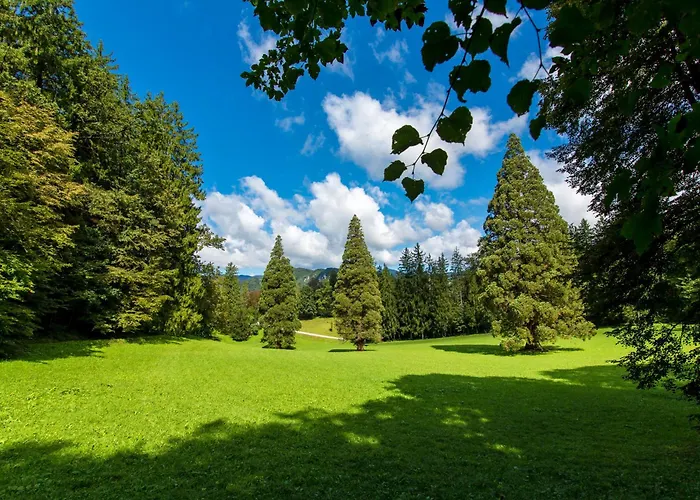 Rimske Terme - Zdraviliski Dvor 4*